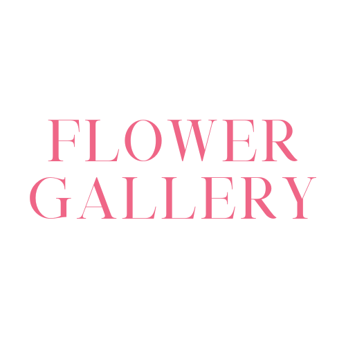 Flower Gallery Logo with Transparent background